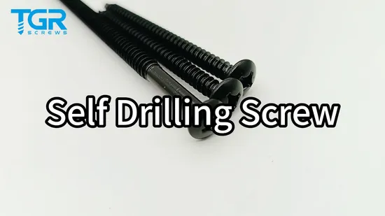 Tornillo Ruspert /Tornillo para techos Heavy Duty Fastener